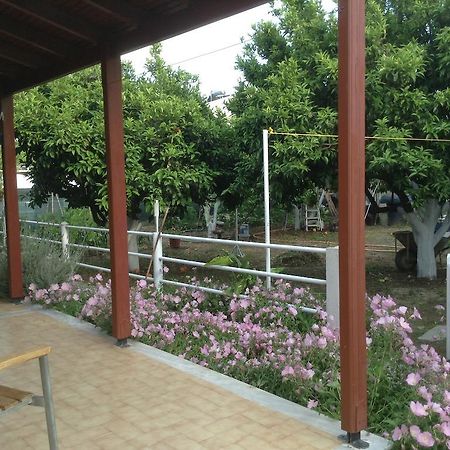 Studios Lalu İskados Dış mekan fotoğraf