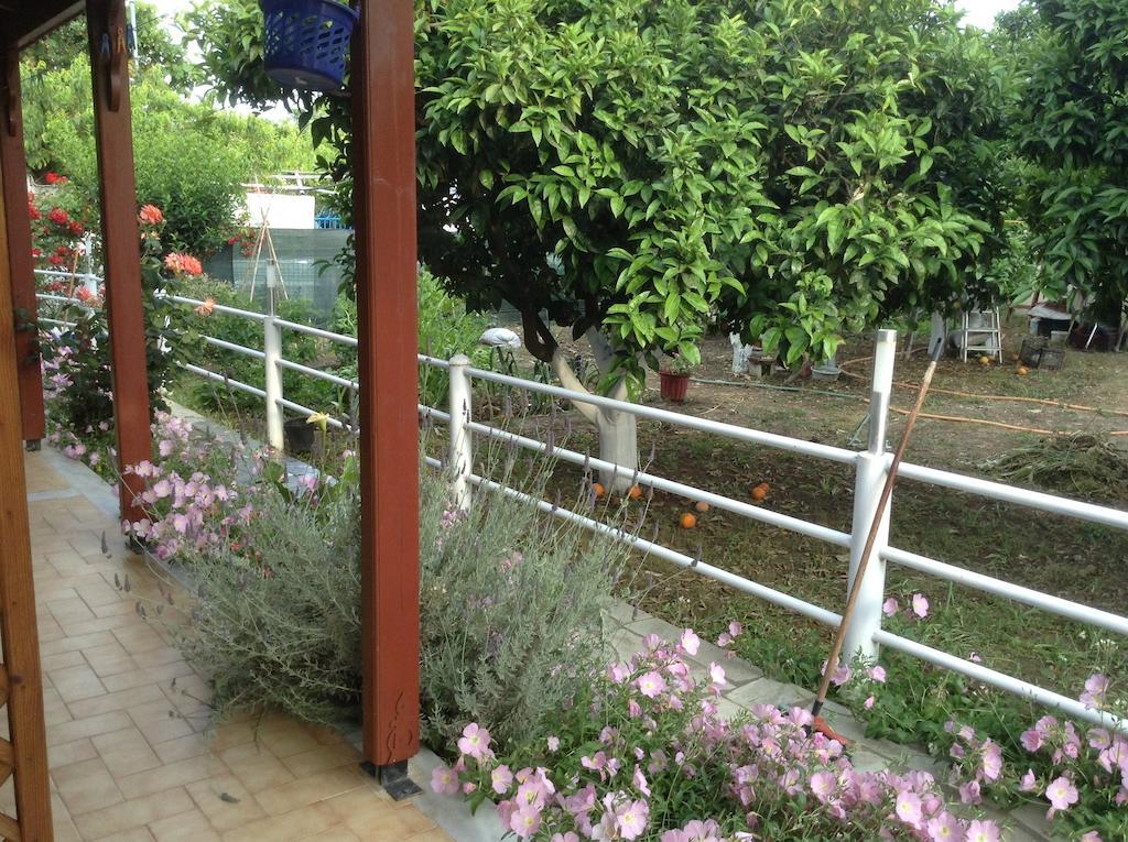 Studios Lalu İskados Oda fotoğraf
