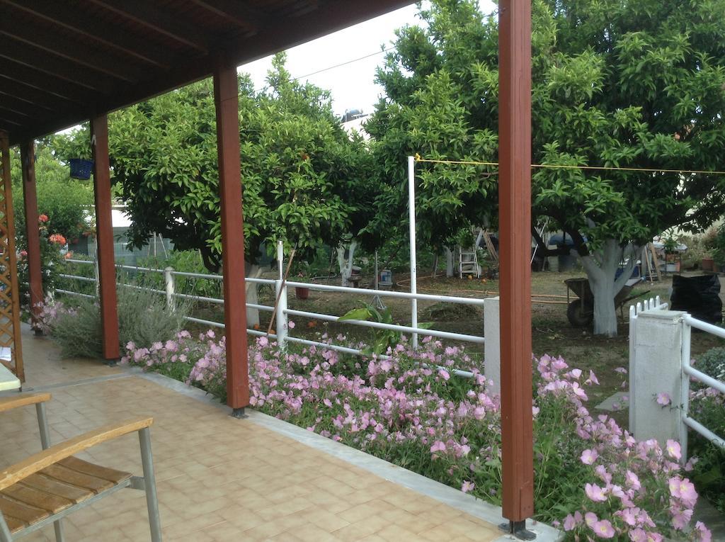 Studios Lalu İskados Dış mekan fotoğraf
